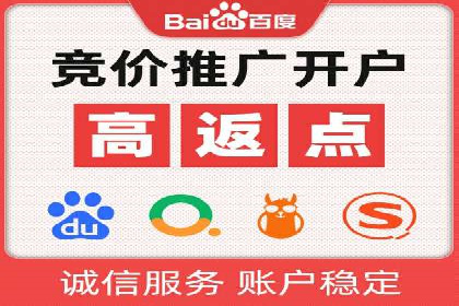 百度竞价SEM案例研究：提升转化率的关键策略